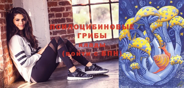амф Абинск