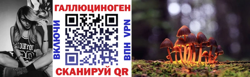 хочу   MEGA онион  Псилоцибиновые грибы Cubensis  Серафимович 